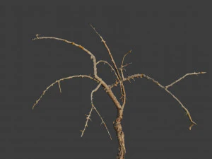 dead tree set dry scan pbr 3D Model