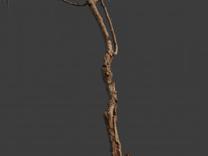 dead tree set dry scan pbr 3D Model