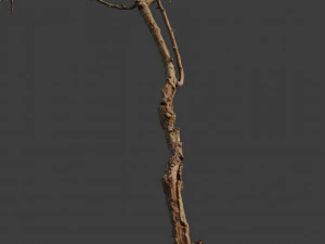 dead tree set dry scan pbr 3D Model