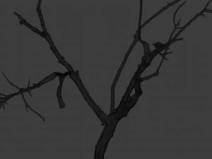 dead tree set dry scan pbr 3D Model
