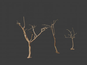 dead tree set dry scan pbr 3D Model