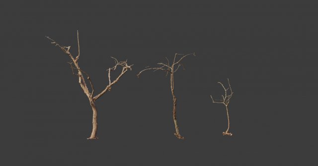dead tree set dry scan pbr 3D Model .c4d .max .obj .3ds .fbx .stl .blend 