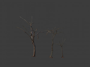 dead tree set dry scan pbr 3D Model