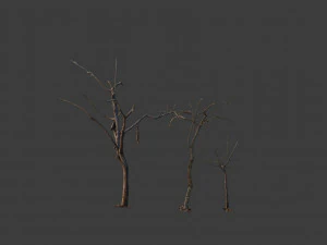 dead tree set dry scan pbr 3D Model