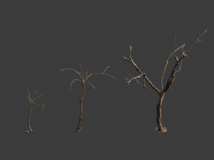 dead tree set dry scan pbr 3D Model