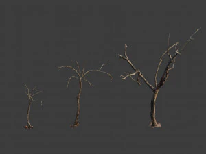 dead tree set dry scan pbr 3D Model