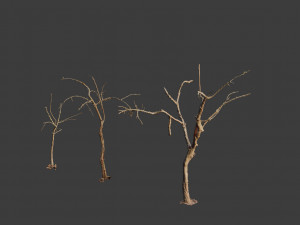 dead tree set dry scan pbr 3D Model