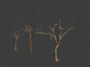 dead tree set dry scan pbr 3D Model