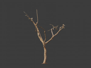 dead tree set dry scan pbr 3D Model