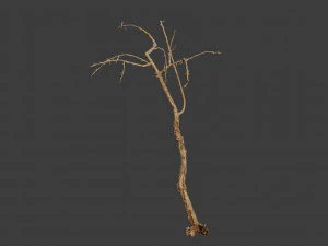 dead tree set dry scan pbr 3D Model