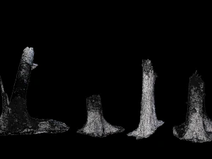 dead tree set dry scan pbr 3D Model