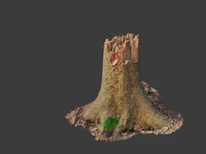 dead tree set dry scan pbr 3D Model