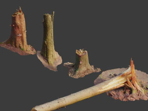 dead tree set dry scan pbr 3D Model