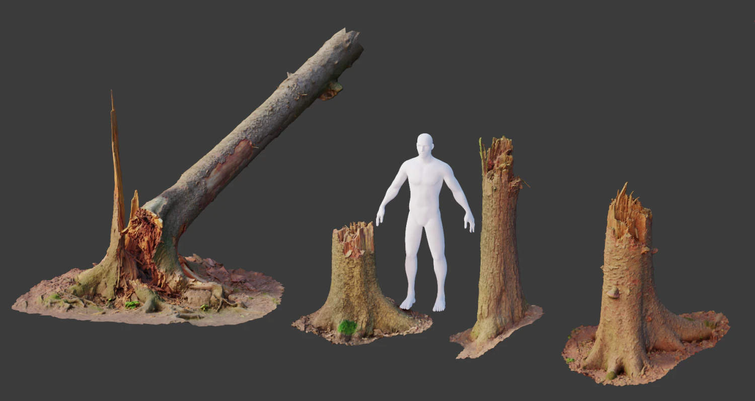 r conifer tree trunk dead scan pbr 3D Model .c4d .max .obj .3ds .fbx .stl .blend