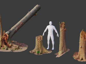 r tronco de &aacute;rvore con&iacute;fera varredura morta pbr Modelo 3D