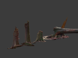 r conifer tree trunk dead scan pbr Modèle 3D