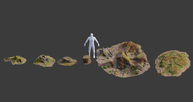 tree stump scan collection pbr Modelo 3D .c4d .max .obj .3ds .fbx .stl .blend 