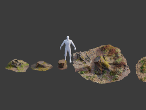 tree stump scan collection pbr 3D Model