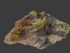 tree stump scan collection pbr Modelo 3D