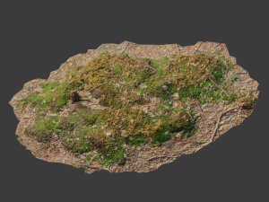 tree stump scan collection pbr Modelo 3D