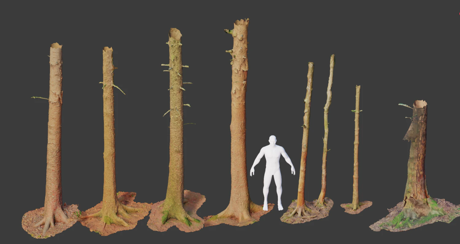fir conifer tree trunk dead scan pbr 3D Model .c4d .max .obj .3ds .fbx .stl .blend