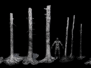 fir conifer tree trunk dead scan pbr 3D 模型