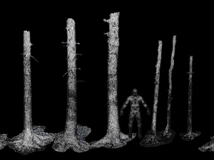 fir conifer tree trunk dead scan pbr 3D Model