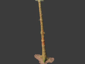 fir conifer tree trunk dead scan pbr 3D Model