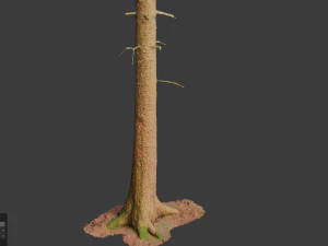 fir conifer tree trunk dead scan pbr 3D Model