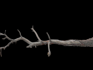 cliff and rock scan collection real- pbr low poly game ready 3D Model