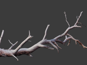cliff and rock scan collection real- pbr low poly game ready 3D Model