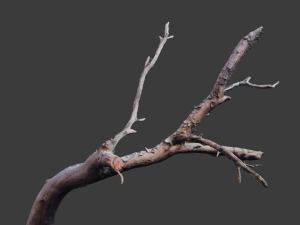 cliff and rock scan collection real- pbr low poly game ready 3D Model