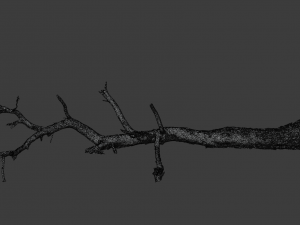 cliff and rock scan collection real- pbr low poly game ready 3D Model