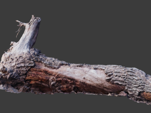cliff and rock scan collection real- pbr low poly game ready 3D Model