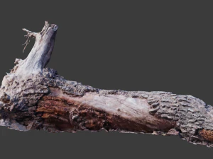 cliff and rock scan collection real- pbr low poly game ready 3D Model