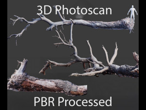 cliff and rock scan collection real- pbr low poly game ready 3D Model