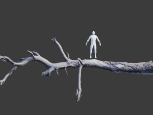 grande pinheiro ca&iacute;do com toco scan pbr Modelo 3D