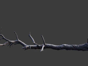 grande pinheiro ca&iacute;do com toco scan pbr Modelo 3D