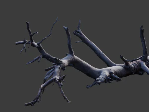 grande pinheiro ca&iacute;do com toco scan pbr Modelo 3D