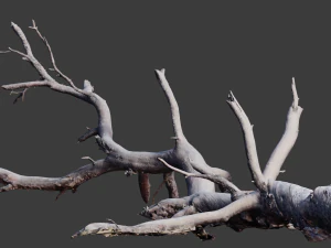 grande pinheiro ca&iacute;do com toco scan pbr Modelo 3D