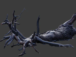 grande pinheiro ca&iacute;do com toco scan pbr Modelo 3D