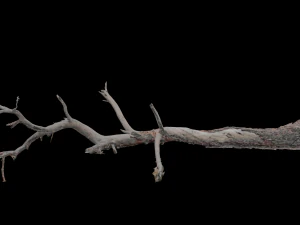 grande pinheiro ca&iacute;do com toco scan pbr Modelo 3D