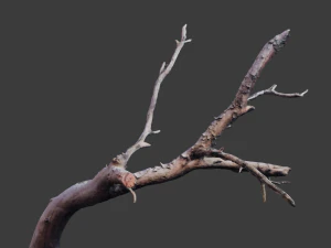 grande pinheiro ca&iacute;do com toco scan pbr Modelo 3D