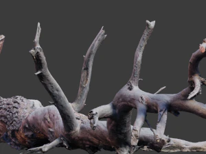 grande pinheiro ca&iacute;do com toco scan pbr Modelo 3D