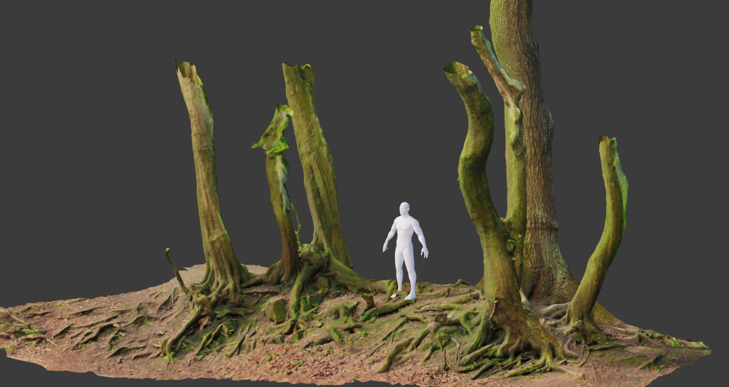 beech oak roots tree big assemble 3D Model .c4d .max .obj .3ds .fbx .stl .blend