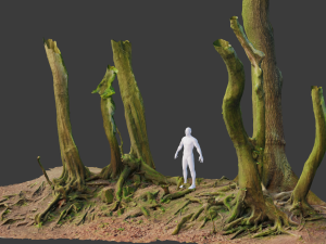 beech oak roots tree big assemble 3D 模型
