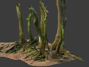 beech oak roots tree big assemble 3D Model