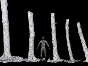 pbr beech tree dead trunk collection 3D Model