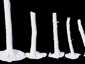 pbr beech tree dead trunk collection 3D Model