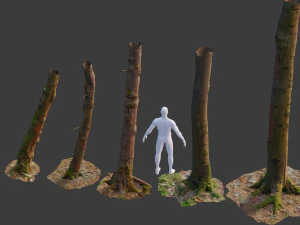 pbr beech tree dead trunk collection 3D Model